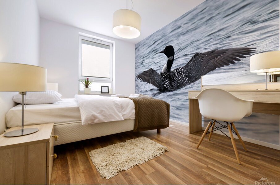 Bird Photography    Mural print