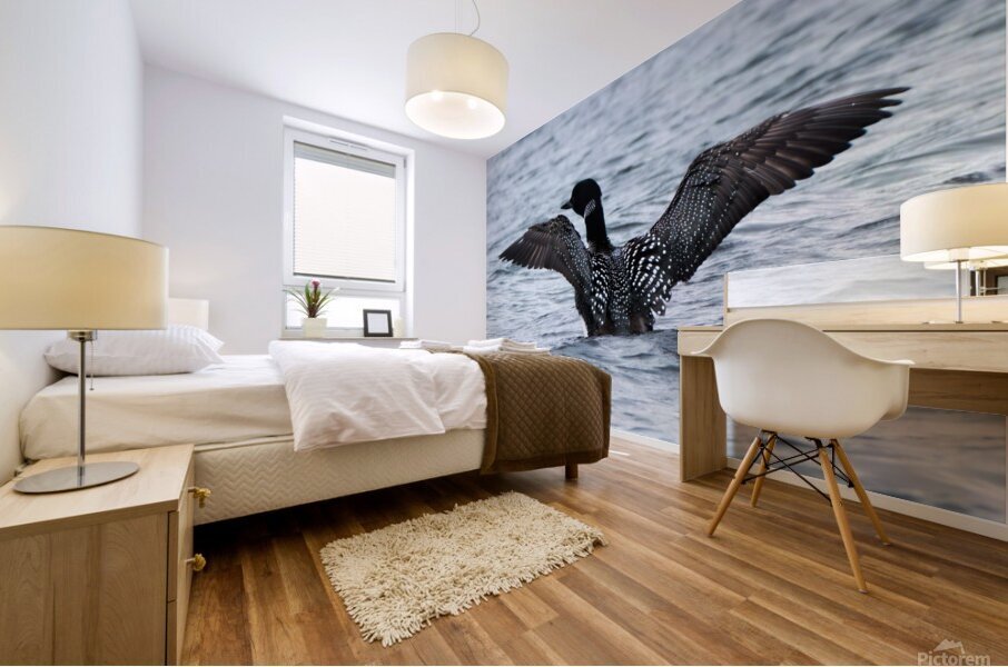 Bird Photography    Mural print