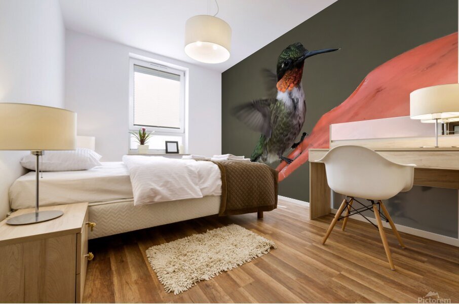 Bird Photography    Mural print