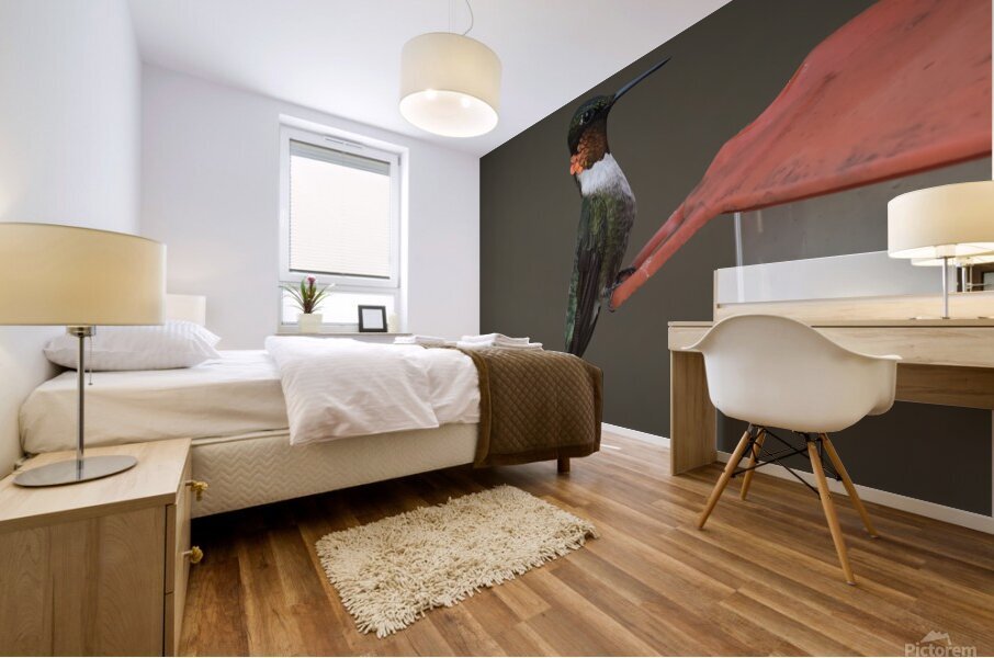 Bird Photography    Mural print
