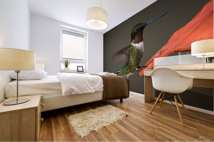 Bird Photography    Mural print