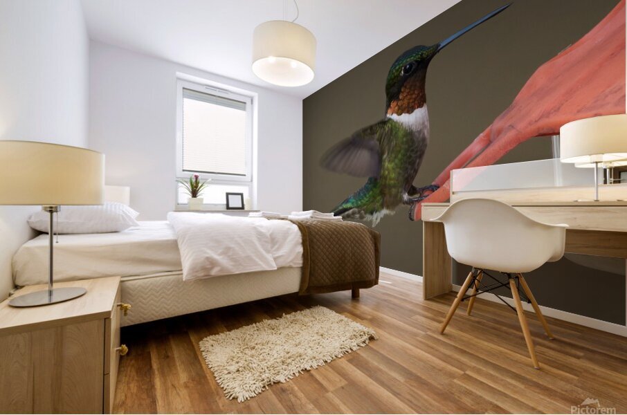 Bird Photography    Mural print