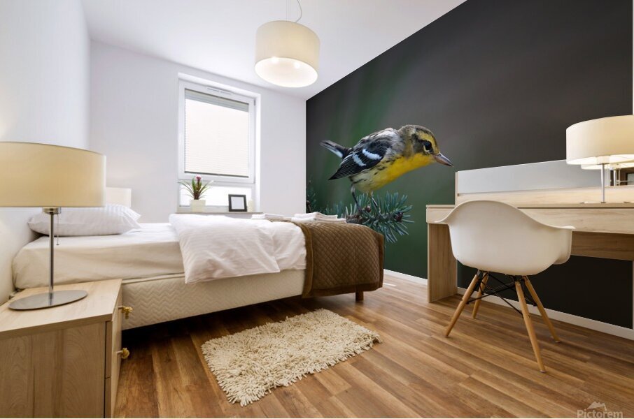 Bird Photography    Mural print