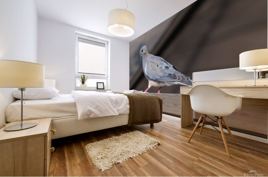 Bird Photography    Mural print