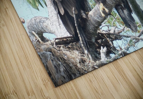 Bird Photography  Arnie Naiman puzzle