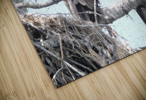 Bird Photography  Arnie Naiman puzzle