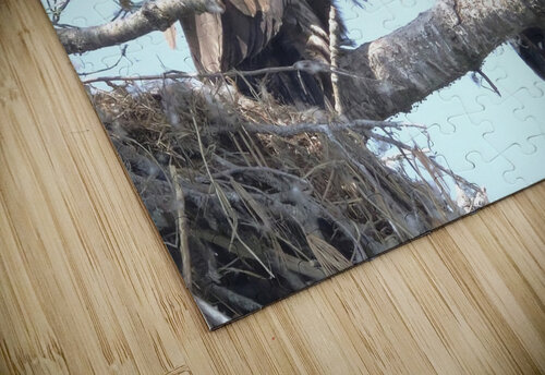 Bird Photography  Arnie Naiman puzzle