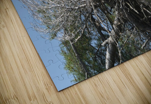Bird Photography  Arnie Naiman puzzle