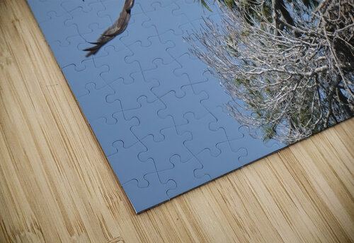 Bird Photography  Arnie Naiman puzzle