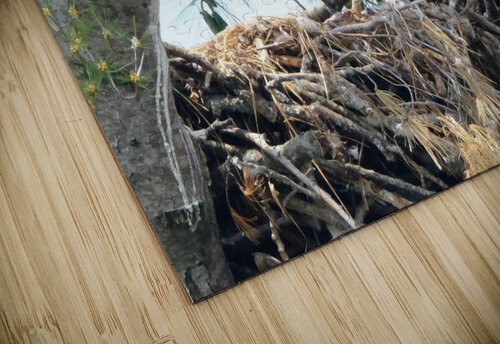 Bird Photography  Arnie Naiman puzzle