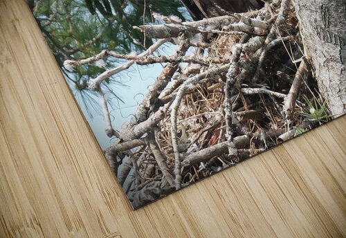 Bird Photography  Arnie Naiman puzzle