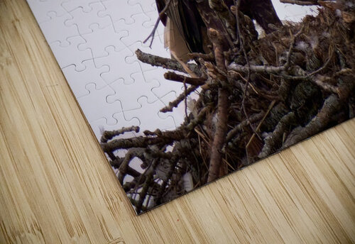 Bird Photography  Arnie Naiman puzzle