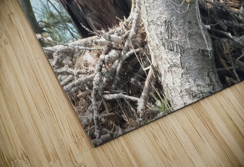 Bird Photography  Arnie Naiman puzzle