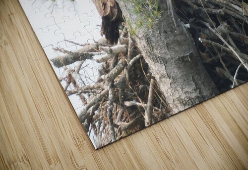 Bird Photography  Arnie Naiman puzzle