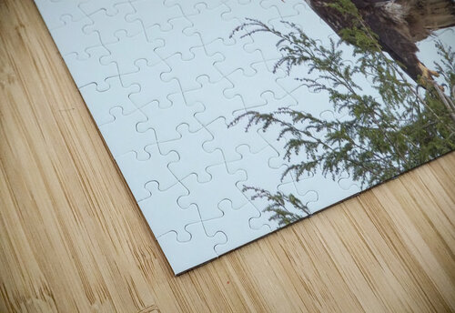 Bird Photography  Arnie Naiman puzzle