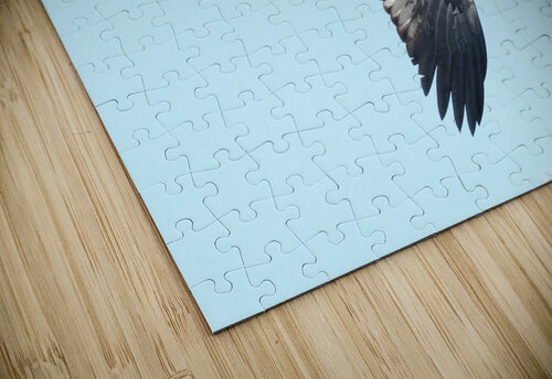 Bird Photography  Arnie Naiman puzzle