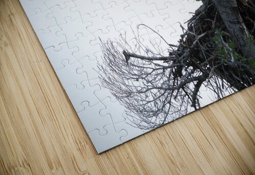 Bird Photography  Arnie Naiman puzzle