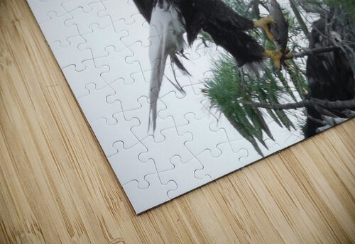 Bird Photography  Arnie Naiman puzzle