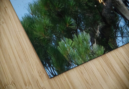 Bird Photography  Arnie Naiman puzzle