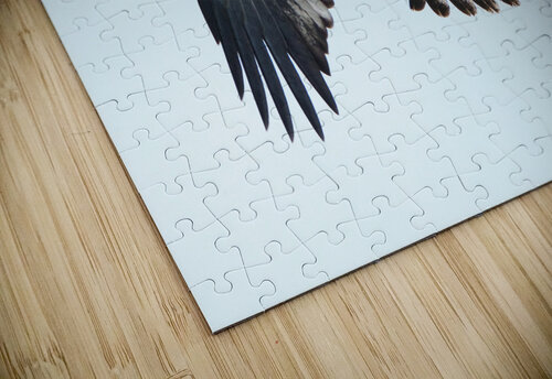 Bird Photography  Arnie Naiman puzzle