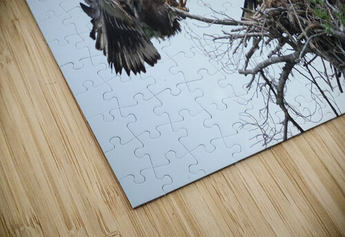 Bird Photography  Arnie Naiman puzzle
