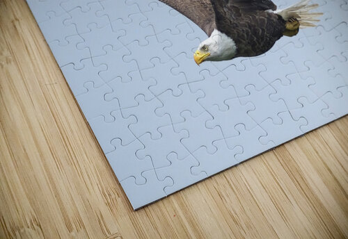 Bird Photography  Arnie Naiman puzzle