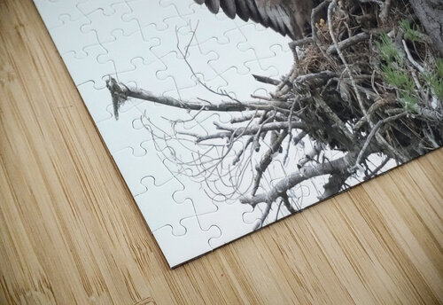 Bird Photography  Arnie Naiman puzzle