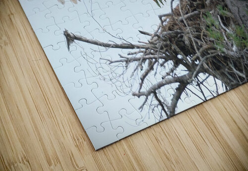 Bird Photography  Arnie Naiman puzzle