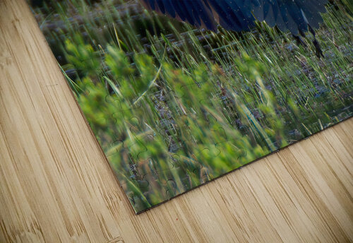 Bird Photography  Arnie Naiman puzzle