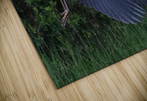 Bird Photography  Arnie Naiman puzzle