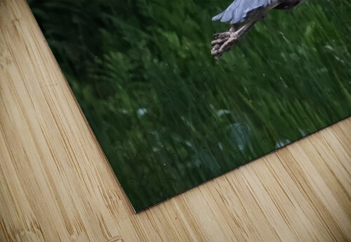 Bird Photography    Arnie Naiman puzzle