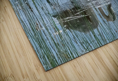 Bird Photography    Arnie Naiman puzzle
