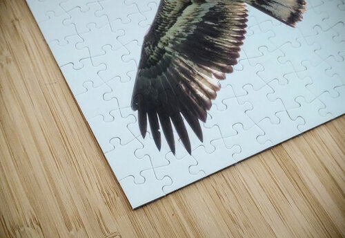 Bird Photography    Arnie Naiman puzzle