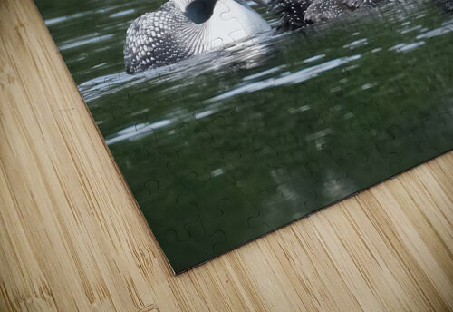 Bird Photography    Arnie Naiman puzzle