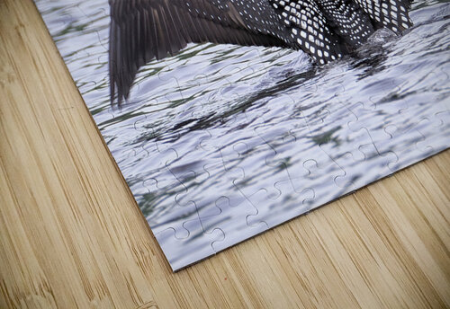 Bird Photography    Arnie Naiman puzzle