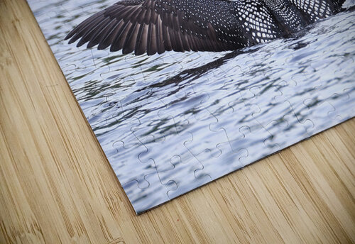 Bird Photography    Arnie Naiman puzzle