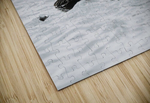 Bird Photography    Arnie Naiman puzzle