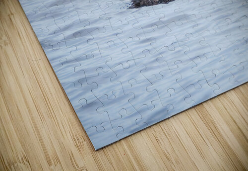 Bird Photography    Arnie Naiman puzzle