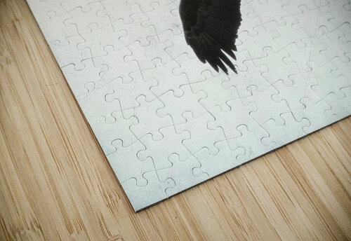 Bird Photography    Arnie Naiman puzzle