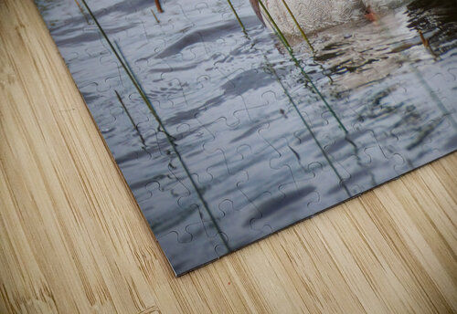 Bird Photography    Arnie Naiman puzzle