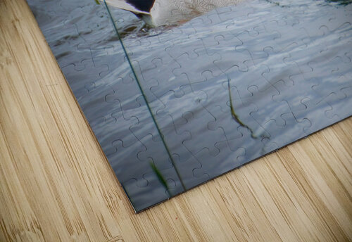 Bird Photography    Arnie Naiman puzzle