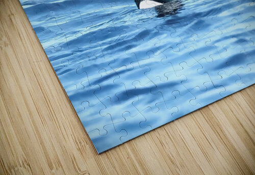Bird Photography    Arnie Naiman puzzle