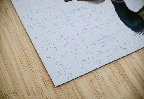 Bird Photography    Arnie Naiman puzzle
