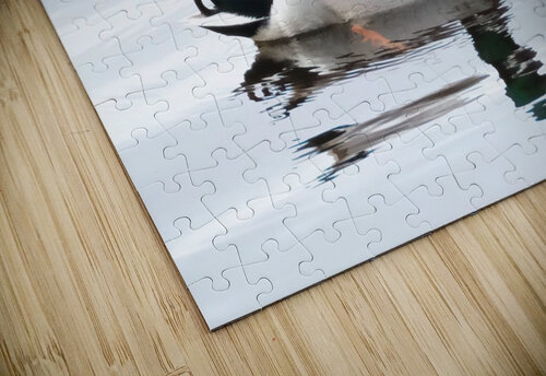 Bird Photography    Arnie Naiman puzzle