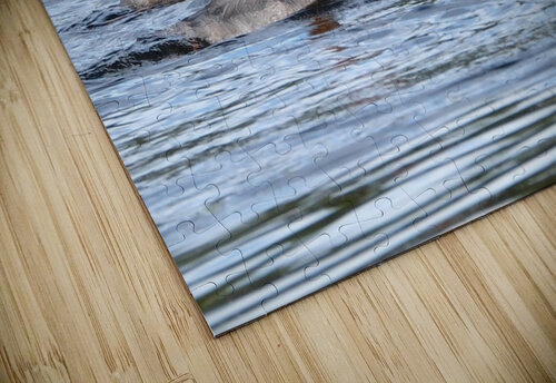 Bird Photography    Arnie Naiman puzzle