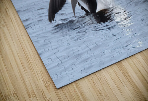 Bird Photography    Arnie Naiman puzzle