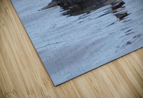 Bird Photography    Arnie Naiman puzzle