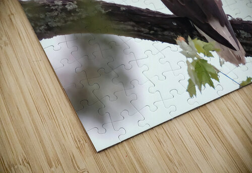 Bird Photography   Arnie Naiman puzzle