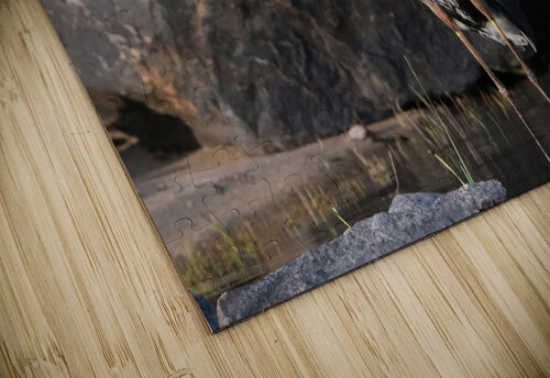 Bird Photography    Arnie Naiman puzzle