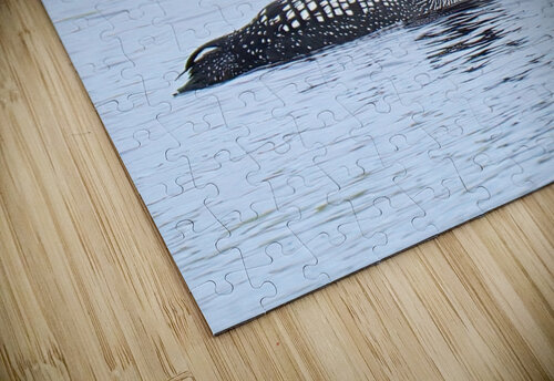Bird Photography    Arnie Naiman puzzle